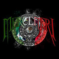 Merceneri Records