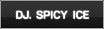 dj spicy ice