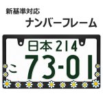 画像1: ライセンスフレーム DAISY ディジー BLACK ナンバープレート ライセンスフレーム 車用 1枚 (1)